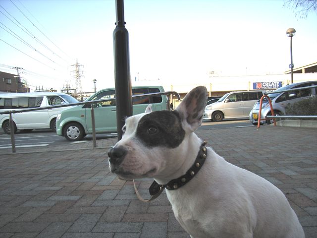 a0136725_329428.jpg