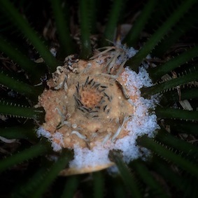 f0309325_17333136.jpg