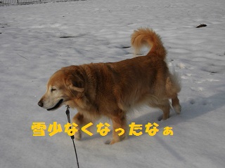 f0114128_1735249.jpg