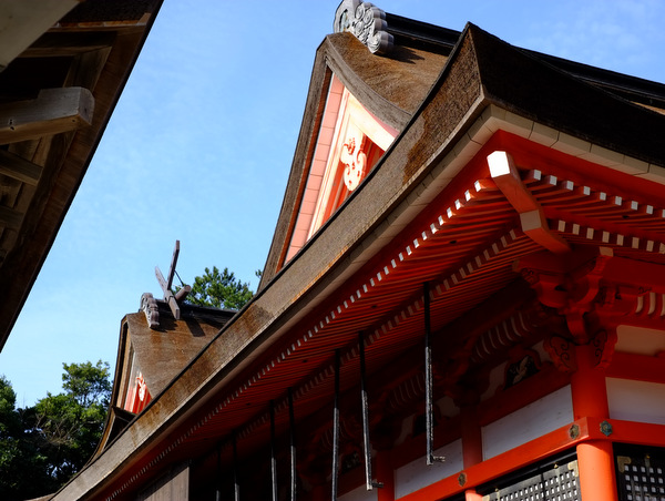 「初詣　日御碕（ひのみさき）神社」_a0000029_1612410.jpg