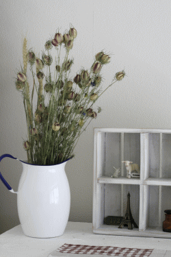 f0200036_1402484.gif