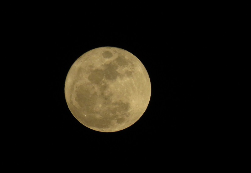b0288942_22512582.jpg