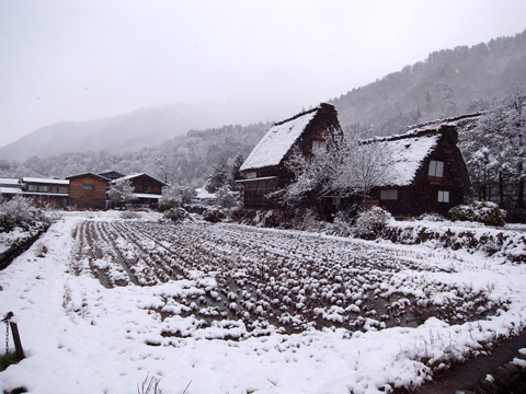b0145843_20574666.jpg
