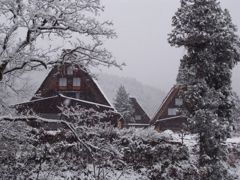 b0145843_20593478.jpg
