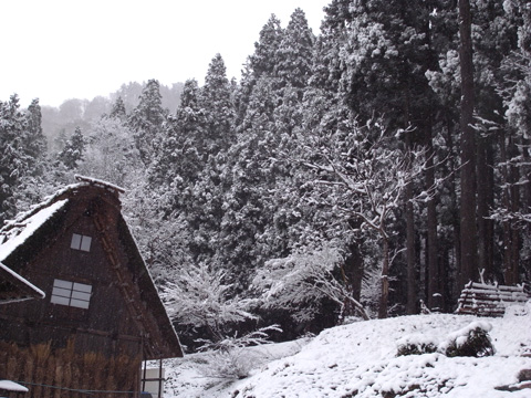 b0145843_210304.jpg
