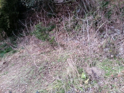 c0330749_18324476.jpg