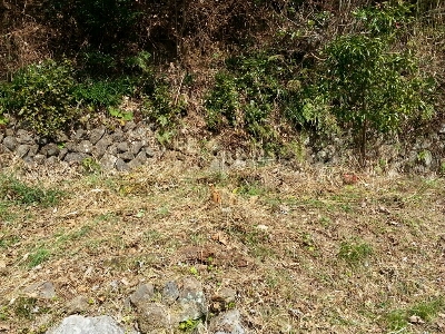c0330749_18411695.jpg