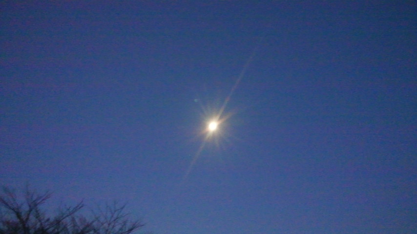 f0046250_1851572.jpg