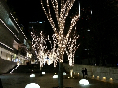 f0345353_7321757.jpg
