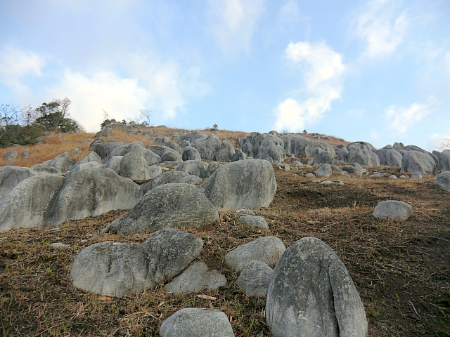 f0356953_21075755.jpg