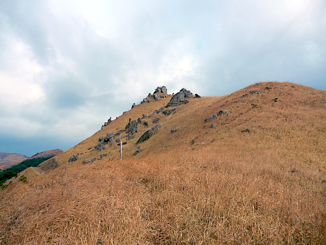 f0356953_21112940.jpg