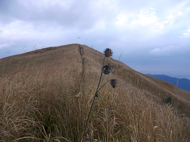 f0356953_21135420.jpg