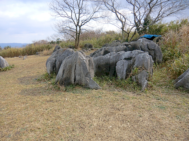 f0356953_21531146.jpg