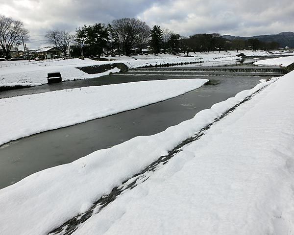 京都　雪の京都散歩　東山から北山へ_e0035757_00125430.jpg