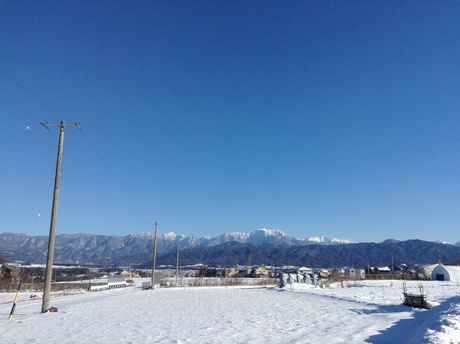 a0254759_232445.jpg