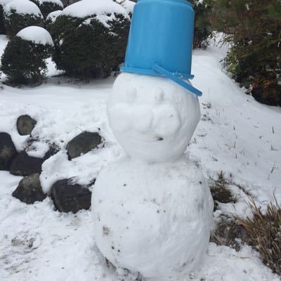 気づけば2015〜今年の抱負とあれこれ〜_a0326365_116482.jpg