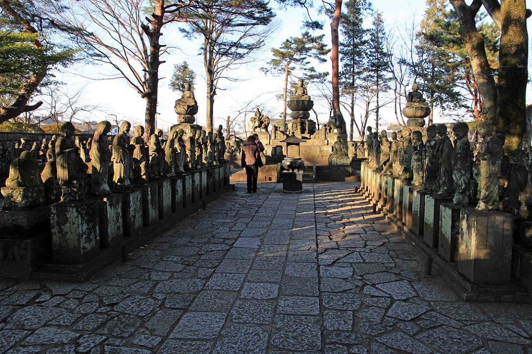 傘で頭を叩かれる夢 ~川越大師初詣~_a0107574_17423046.jpg