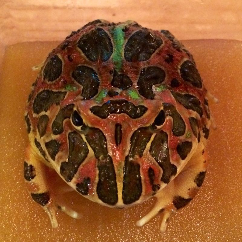 c0238377_0153144.jpg