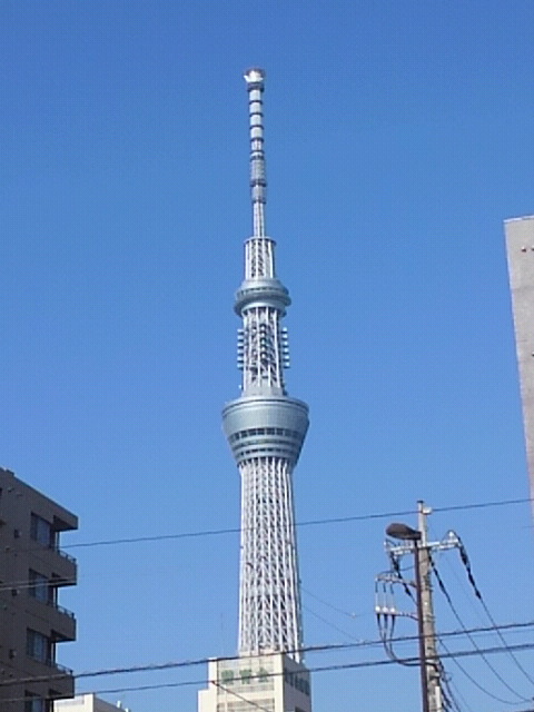 a0300078_16333575.jpg