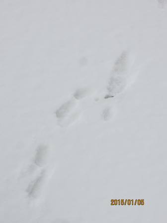 b0097183_9214896.jpg