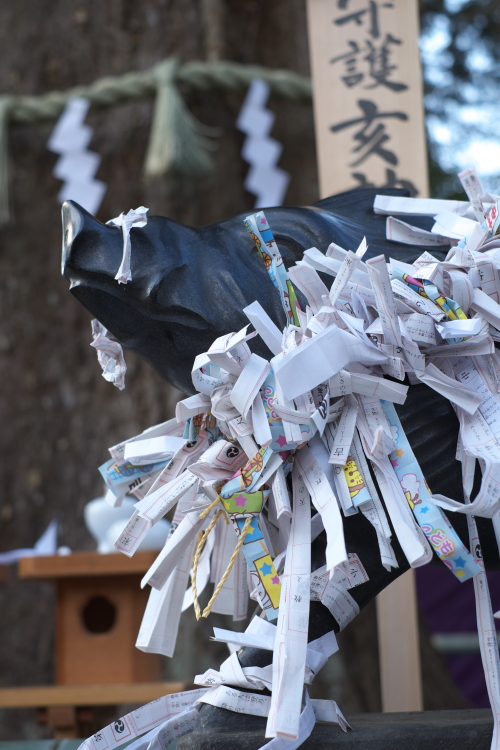 水戸八幡宮・湯清め神事　２０１５・０１・０４_e0143883_2083486.jpg