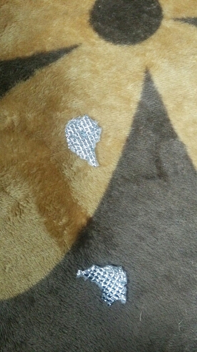 c0348784_2012189.jpg