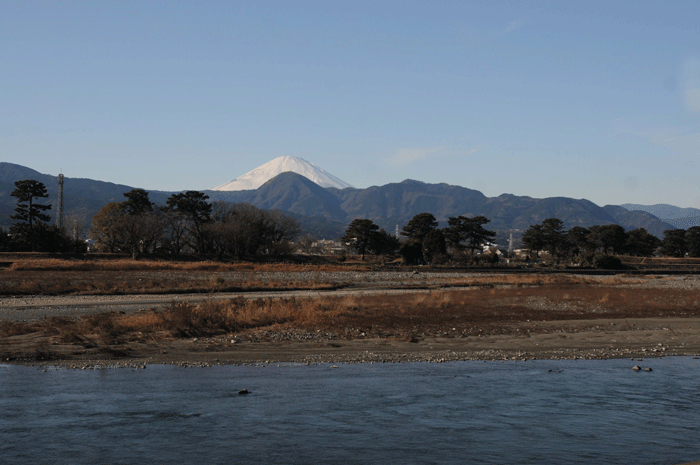 川端散策　＜酒匂川＞_e0248688_176138.gif