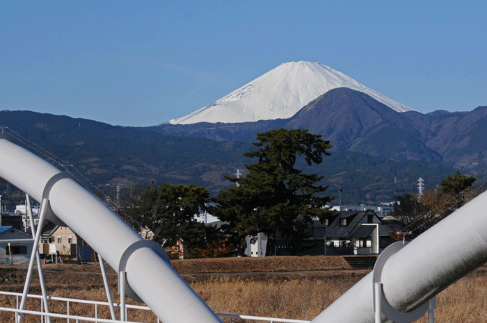 川端散策　＜酒匂川＞_e0248688_1771697.gif