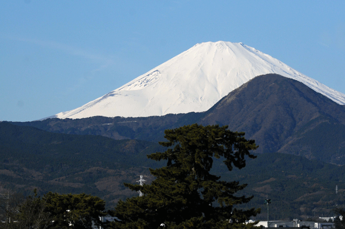 川端散策　＜酒匂川＞_e0248688_1774090.gif