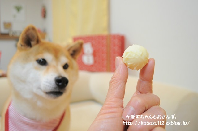 高級みやげ_a0126590_22512118.jpg