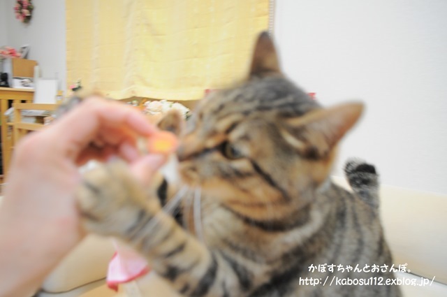 高級みやげ_a0126590_22514892.jpg
