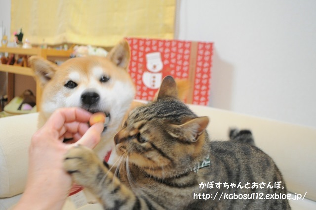 高級みやげ_a0126590_22515965.jpg