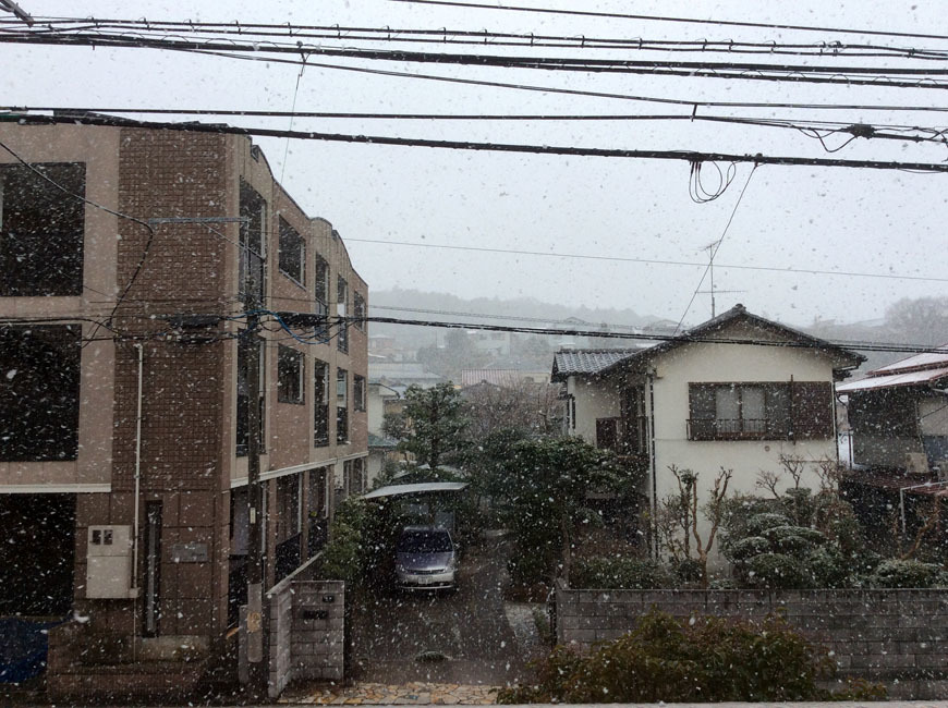 2015年あけましておめでとうございます!_b0186200_20093090.jpg