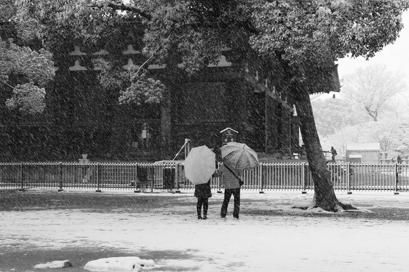 元旦雪景色!@東寺 其の一_f0032011_18214455.jpg