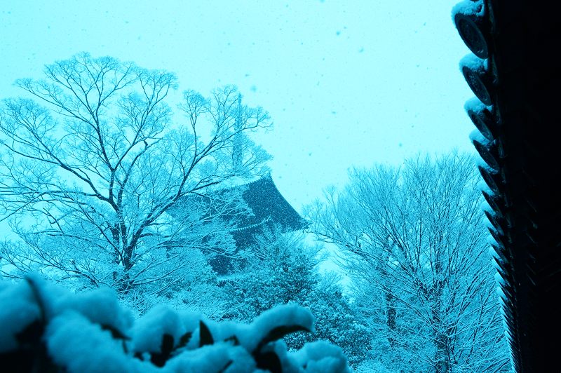 元旦雪景色!@東寺 其の一_f0032011_18232577.jpg