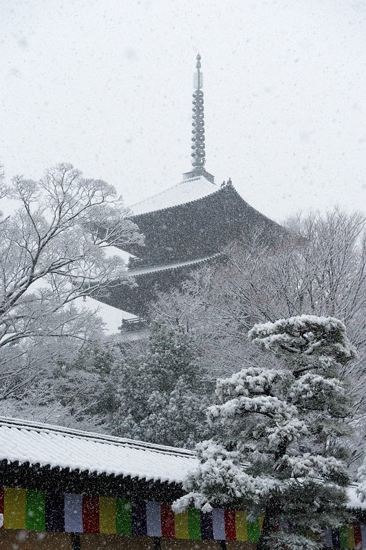 元旦雪景色!@東寺 其の一_f0032011_1825954.jpg