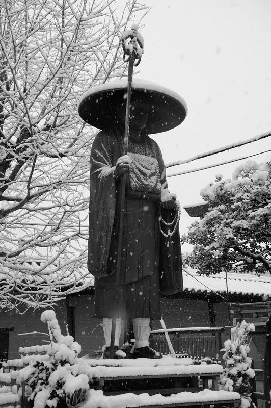 元旦雪景色!@東寺 其の一_f0032011_1852183.jpg