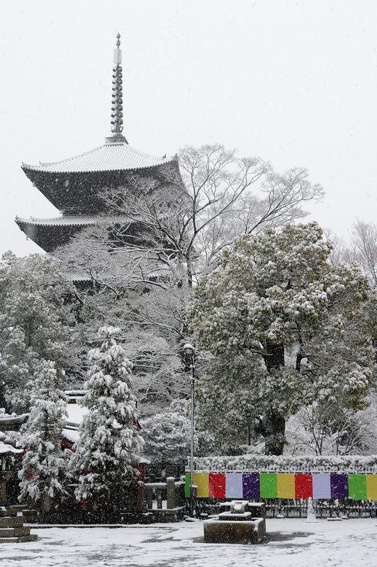 元旦雪景色!@東寺 其の一_f0032011_18531271.jpg
