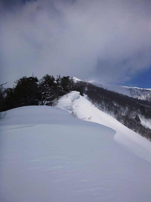 a0236914_9275257.jpg