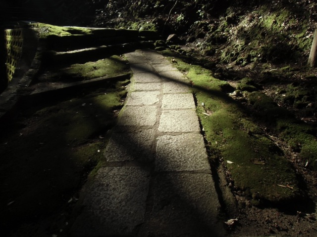 b0181015_215880.jpg