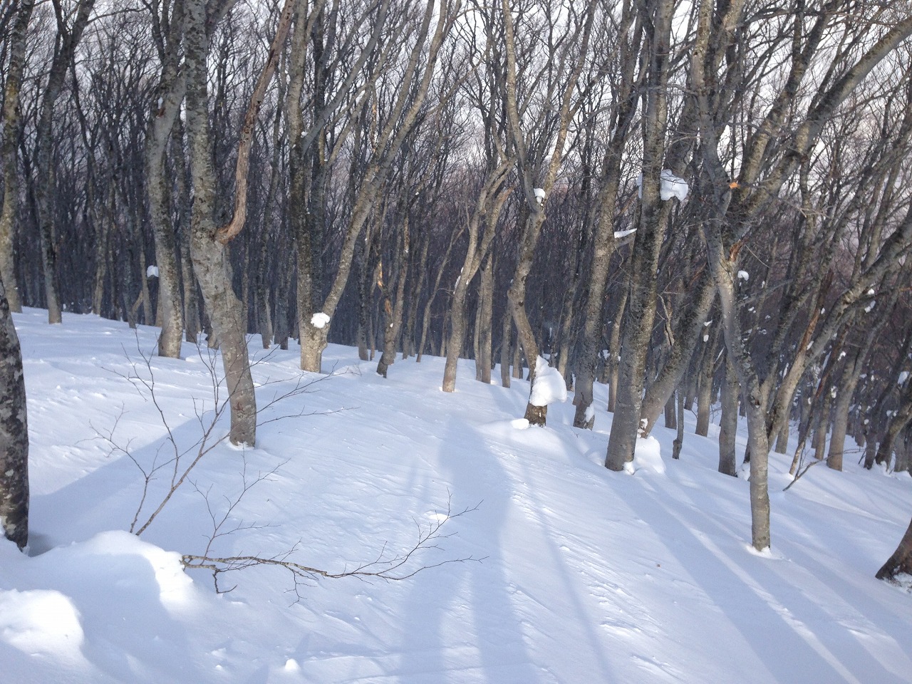 e0171018_2223111.jpg