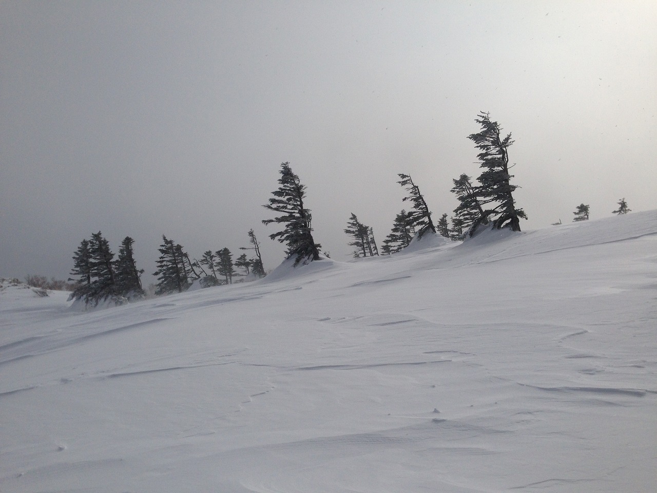 e0171018_22265895.jpg