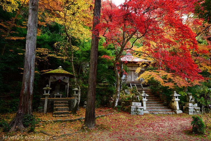 京都 護法堂弁財天 紅葉 Photograph2