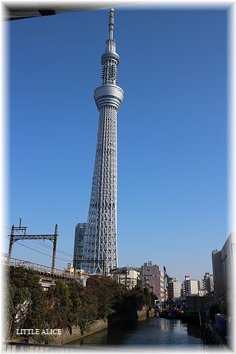 ☆スカイダックとスカイツリ-。_c0080132_9123313.jpg