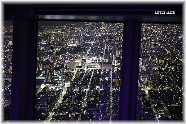 ☆スカイダックとスカイツリ-。_c0080132_9444562.jpg