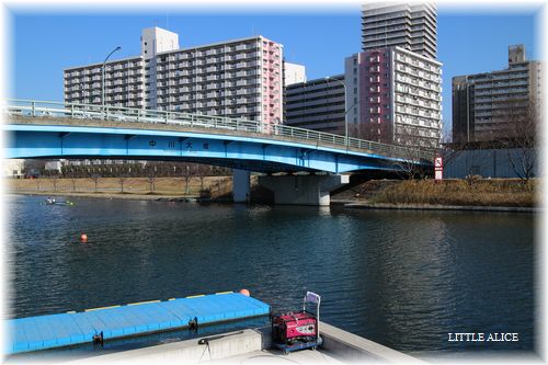 ☆スカイダックとスカイツリ-。_c0080132_963730.jpg