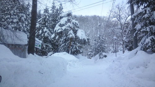 全員で滑って転んで泣いて笑った雪遊び 1日目_c0120834_12573232.jpg