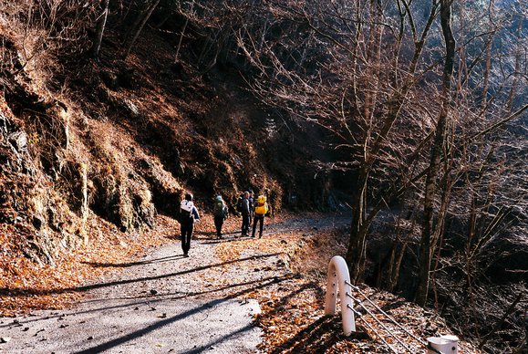 f0251840_1438596.jpg