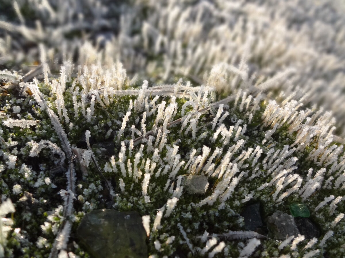b0069848_7183779.jpg