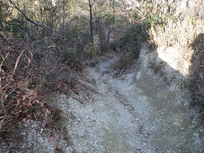 a0237349_9295139.jpg